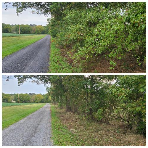 Gallery Image 1761504081082.jpg