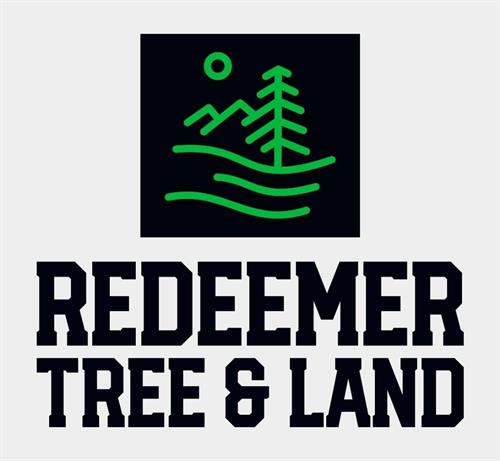 Gallery Image Redeemer_TreeLand.jpg