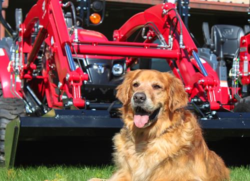 Gallery Image TYM-tractor-Booker.jpg