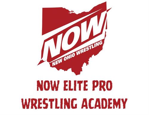 Want to become a professional Wrestler? Join our Training Academy