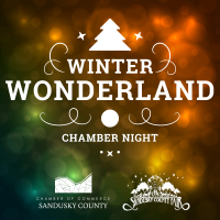 Winter Wonderland - Chamber Night