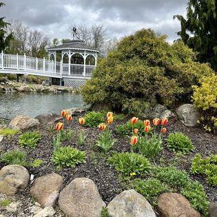 Gallery Image gazebo_flowers.jpg