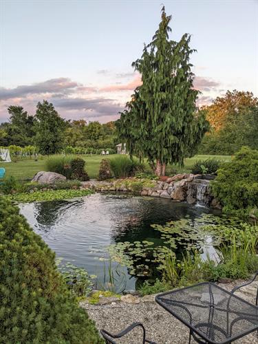 Gallery Image pond.jpg