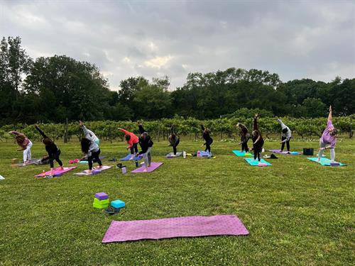 winery yoga