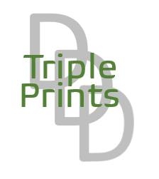Triple D Prints_logo