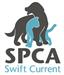SPCA Pets in the Park Dog Walk Fundraiser