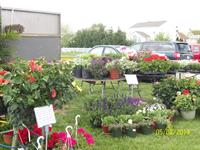 Van Houten Gardens - Perryville Farmers Market - May 2014