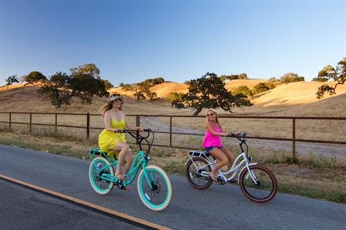 Gallery Image pedego-electric-bikes-13.jpg Gallery Image pedego-electric-bikes-13.jpg