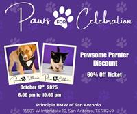 San Antonio Pets Alive! - San Antonio