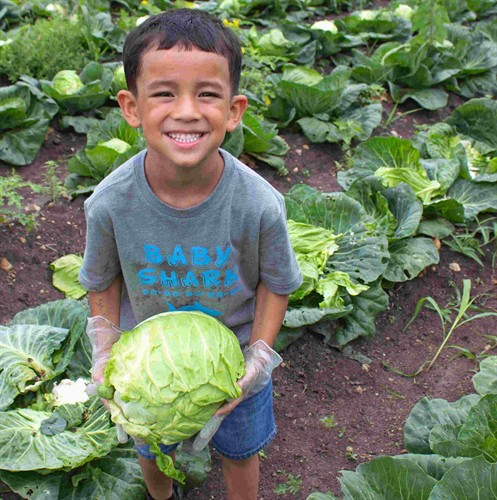 Gallery Image Mission_San_Juan_Farm_2020_-_32.jpg