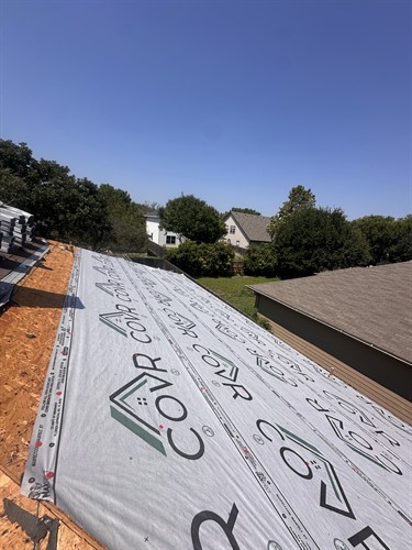 Gallery Image IMG_0289.jpeg