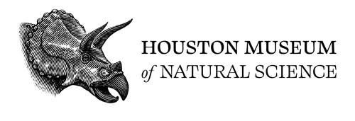 HMNS Logo HMNS Logo