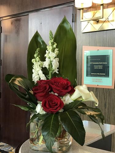 Gallery Image IMG_0644.jpeg