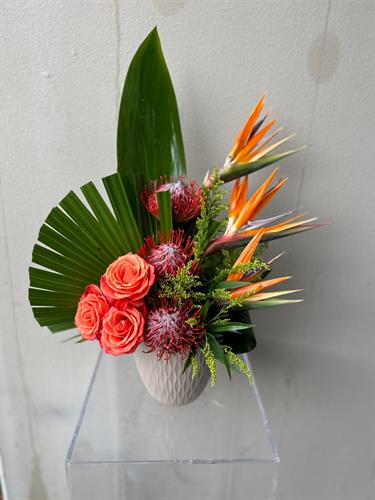 Gallery Image IMG_3880.jpeg