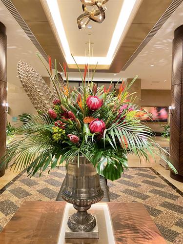 Gallery Image IMG_9042.jpeg