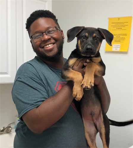 Gallery Image Dog.Client.PNG