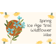 Spring Wildflower Hike, Walworth/Jefferson Chapter