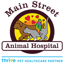 Main Street Animal Hospital