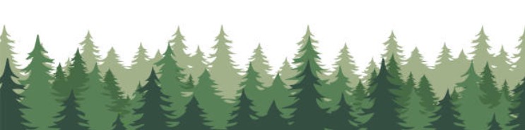 Evergreen Alliance Digital  Evergreen Alliance Digital