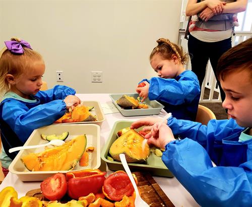 Sensory and Nutrition: Exploring Seeds Sensory and Nutrition: Exploring Seeds