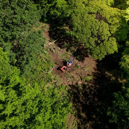 Land Clearing 