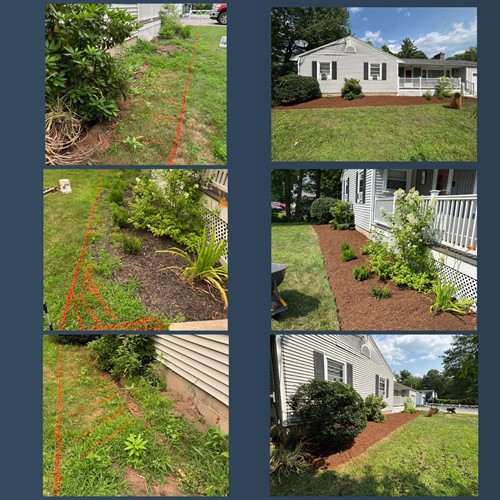 Before & After Mulching