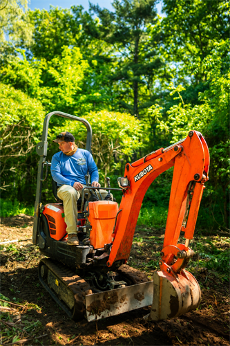 Part of Land Clearing 