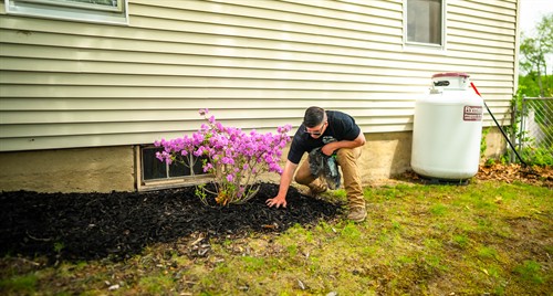 mulching