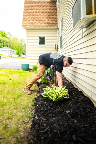 mulching