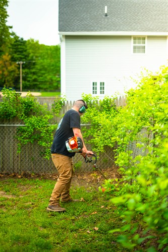 weed whacking 