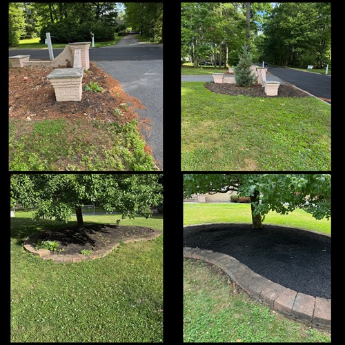 before & after Mulching 