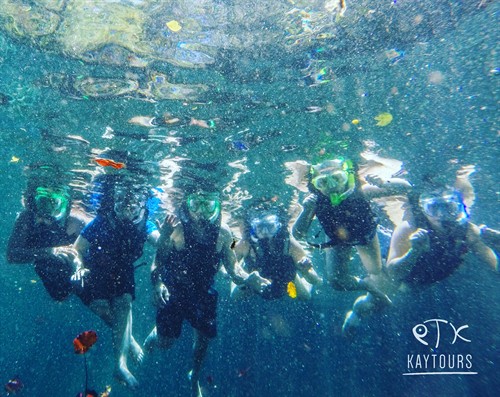 Family cenote snorkeling in Mexico