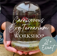 Event of a Member: Carnivorous Bog Terrarium Making - Zorvino Vineyards