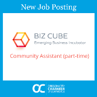 BIZ CUBE LLC