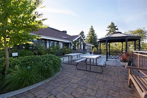 Gallery Image Healing_Garden.jpg