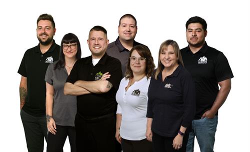 Our Team
