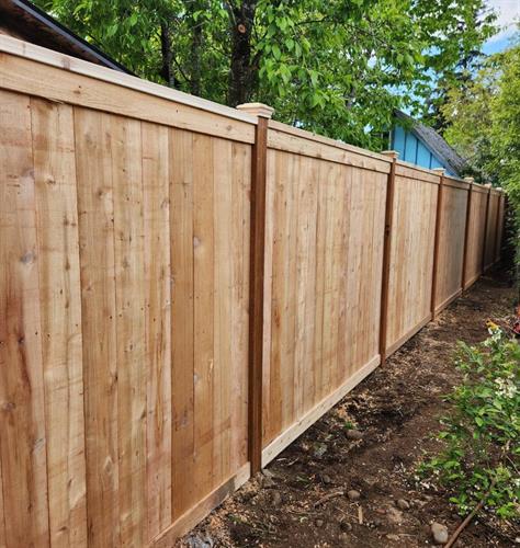 Gallery Image 6'H_Fortress_Stockade_-_Thomson_-_4_(1).jpg