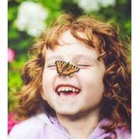 Home Ecologist - Butterflies