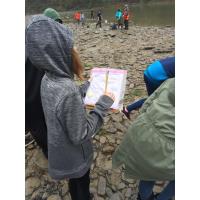 Home Ecologist - Animal Habitats