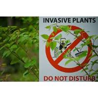 Winter Lecture Series at Letchworth - Invasive Species