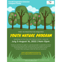 Chip Holt Nature Center Summer Youth Program