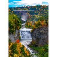 Learn About Letchworth Series 