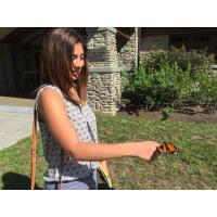 Monarch Butterfly Releases