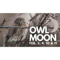 Owl Mood at Genesee Country Village and Museum