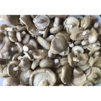 Winter Lecture Series at Letchworth - Mushrooms