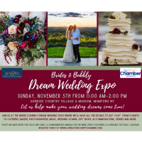 The 2023 Brides & Bubbly Dream Wedding Expo: Vendor Sign-Up