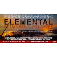 Elemental: reimagine Wildfire