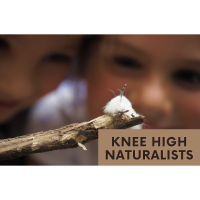 Knee High Naturalist Program at Letchworth (trees are teachers)