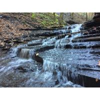 Explore Letchworth - Dishmill Creek