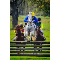 Genesee Valley Hunt Races & Festival